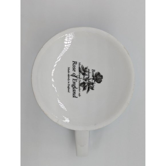 Kittens Christmas Santa Hat Photo Mug Bone China Rose of England Cat Lovers - Picture 7 of 8